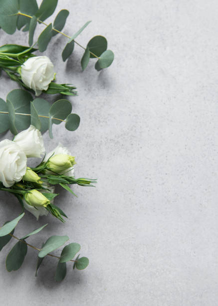istock Delicate arrangement of mixed  flowers and eucalyptus leaves on a light grey surface 2172517081
