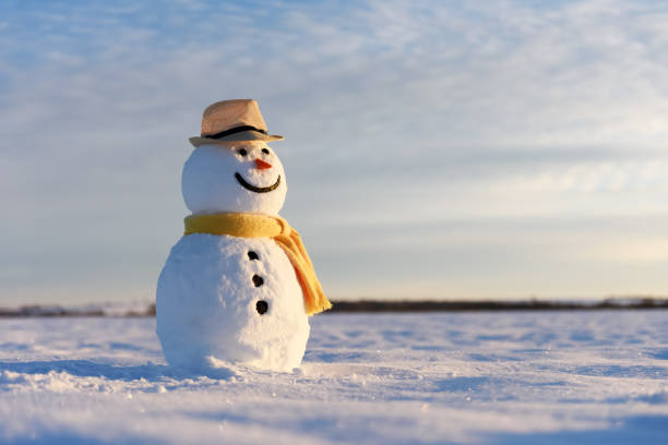 istock Funny snowman in black hat 2172519153