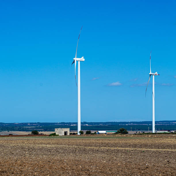 istock Wind turbines on the field 2172520694