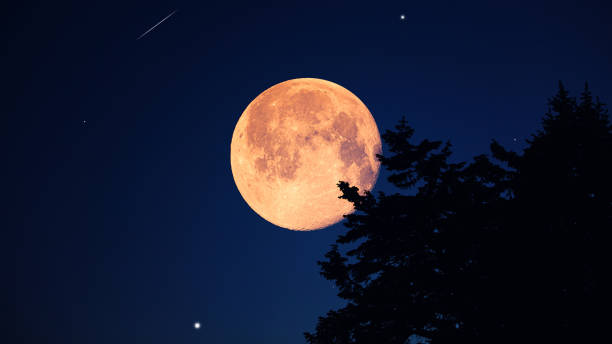 istock Full Moon, stars, planets and landscape scenery silhouettes. 2172524130
