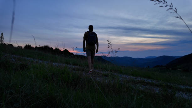 istock Man walking in nature during blue hour time. 2172524190