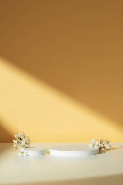 istock Modern White Geometric Shapes and Flowers on Table Against Orange Wall 2172524852