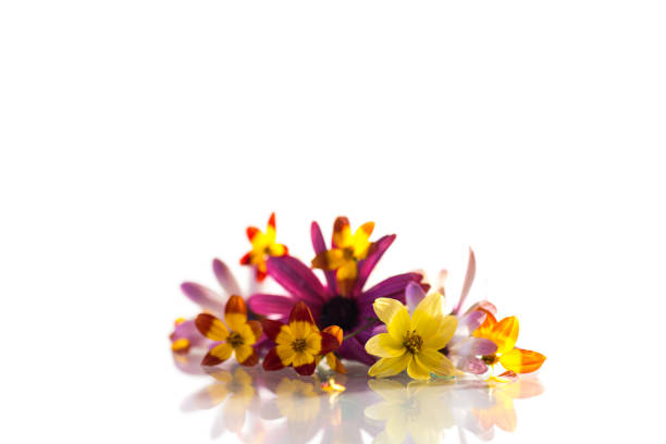 Pink Flower 3D decoration