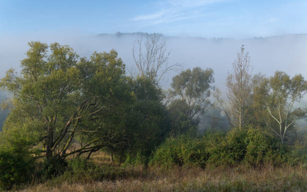 istock misty morning in the valley 2172527593