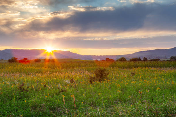 istock Sunset at the Countryside 2172530550
