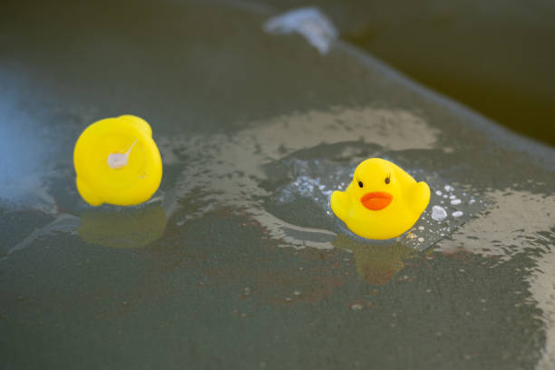 istock Yellow plastic ducks, rubber duck or rubber duckie among ice cubes 2172531392