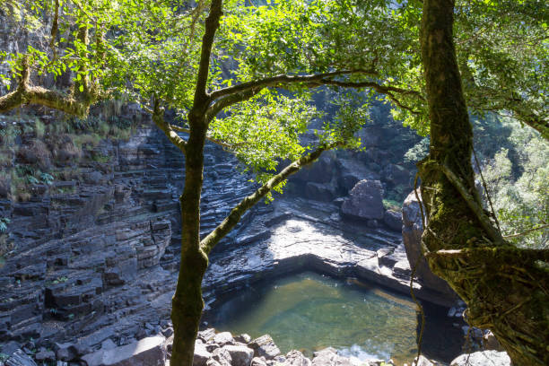 Graskop Gorge Lift Company - Blyde River Canyon Forest