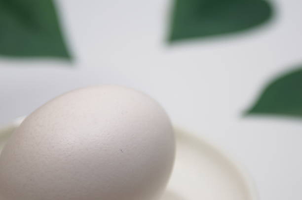 istock The beauty of eggs with smooth curves 2172536189