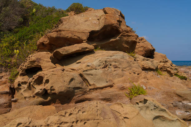 Close-up of an eroded sandstone rock formation with patches of green vegetation, set against a clear blue sky and the distant sea. A natural coastal landscape