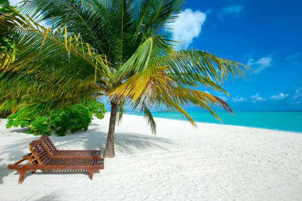istock beautiful beach and tropical sea 2172543823