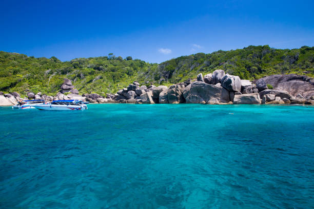 beach and tropical sea
