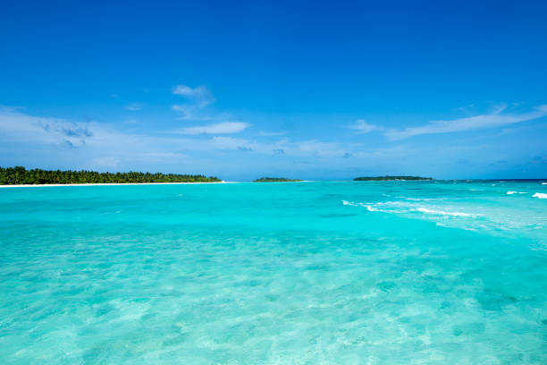 beautiful beach and tropical sea