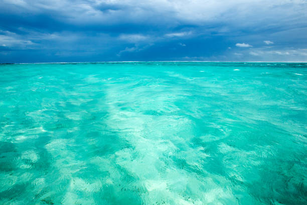 Sea waves against the blue sky. Blue sea panorama with sun reflection.