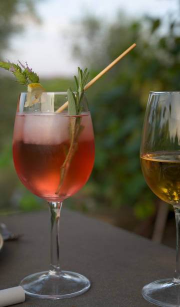 istock Special flavours spritz next to wine glass 2172545143