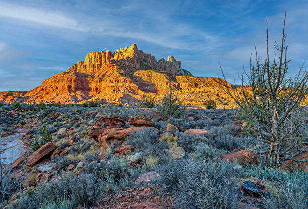 istock Zion National Park, late autumn 2172547137