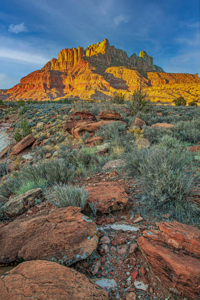 istock Zion National Park, late autumn 2172547160