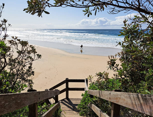Looking down stairs towards a beach with bushes on either side and a surfer in the background