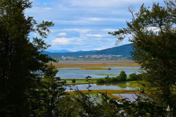pohled na město cerknica a jezero cerknica v notranjské, slovinsko - cerknica - stock snímky, obrázky a fotky
