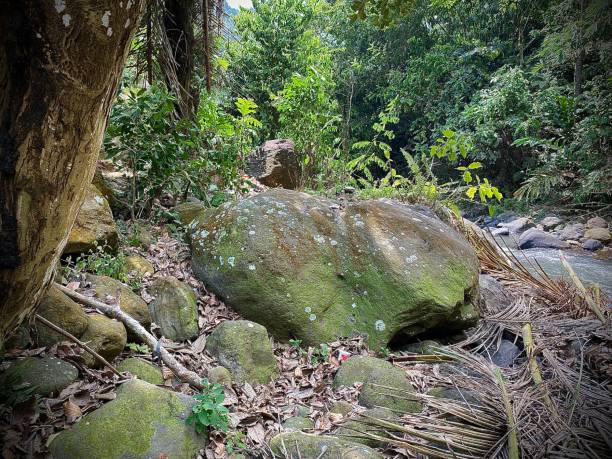 istock The rocks around the river create a natural feel 2172550122