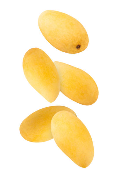 istock Falling Yellow Mango isolated on white background with clipping path, full depth of field 2172551687