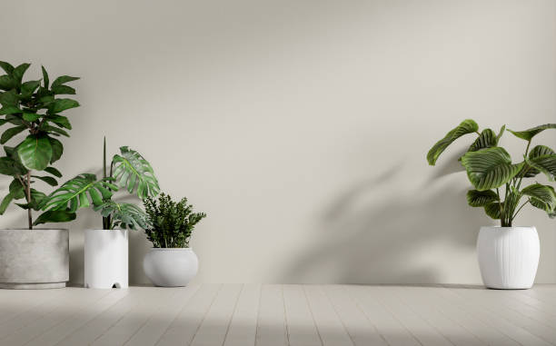 istock Minimalist Interior with Potted Plants - Green Decor Inspiration 3D rendering 2172551890