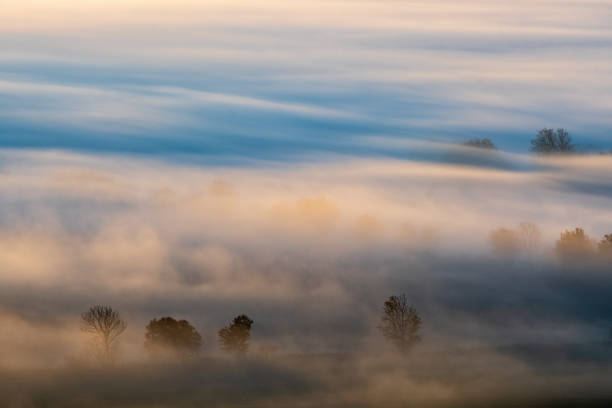 istock Misty morning with silhouette trees in the countryside 2172551903