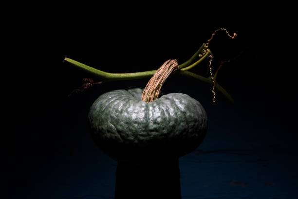 Green pumpkin on dark background. Thanksgiving or Halloween concept