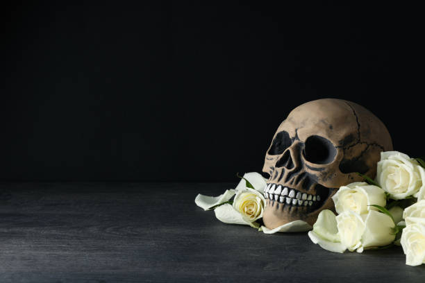 istock Skull and white roses on black background, space for text 2172554817