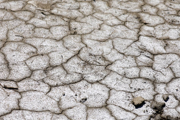 istock Dried out soil dryness drought 2172555461