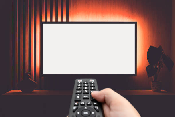 istock Modern living room interior with blank smart TV. 2172556135