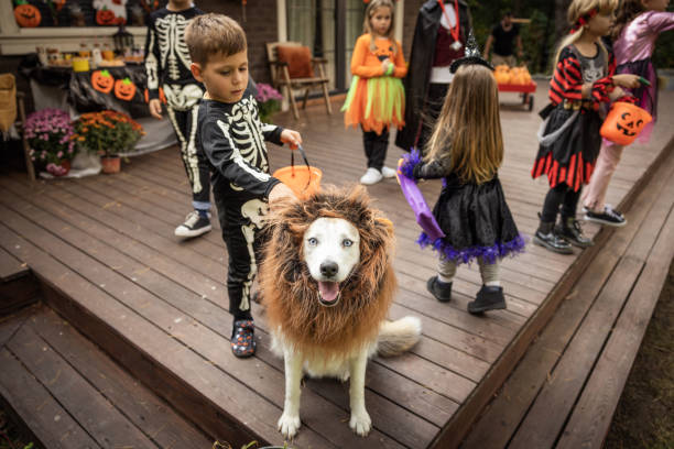 istock Halloween party at home 2172556497
