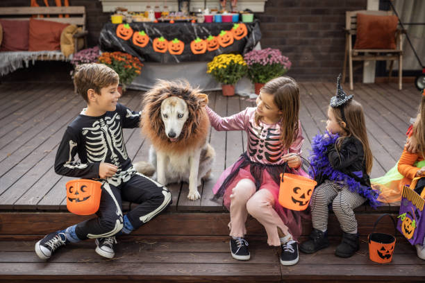 istock Halloween party at home 2172556539