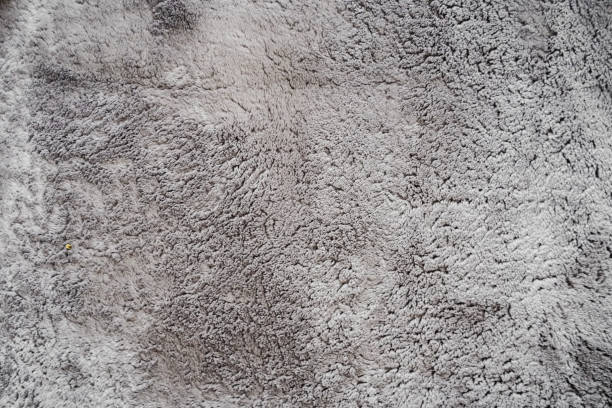 istock Gray Fluffy Fuzzy Fabric Fiber Texture 2172561509