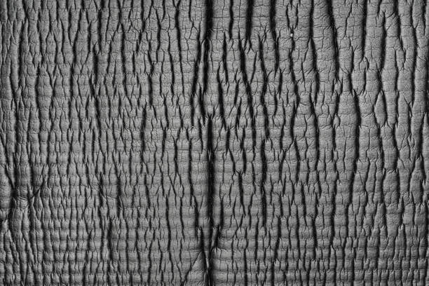 Black Wrinkled Matt for High Contrast Dark Crack Texture