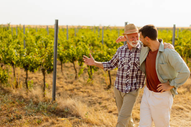 istock Two men stroll through a sunlit vineyard, sharing laughter and stories on a warm afternoon, surrounded by lush green vines 2172564820