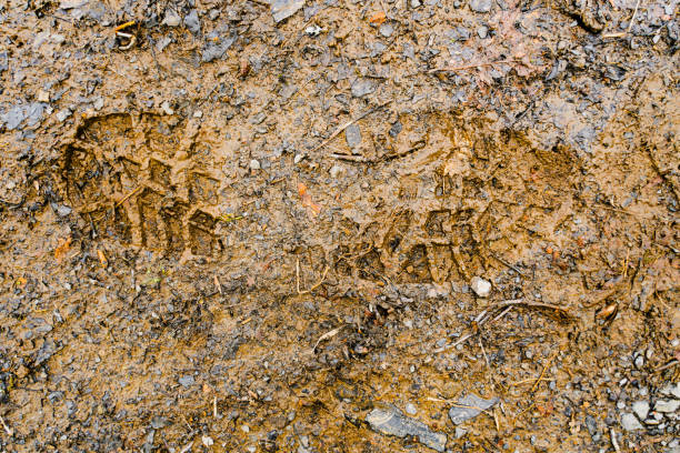 Foodprint in Muddy Soil Floor Texture