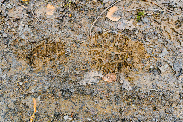 Impression in ground where a person walked annd left a deep footprint track in salt crusted soil.