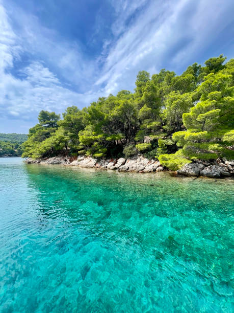 istock tropical island in the sea 2172567310