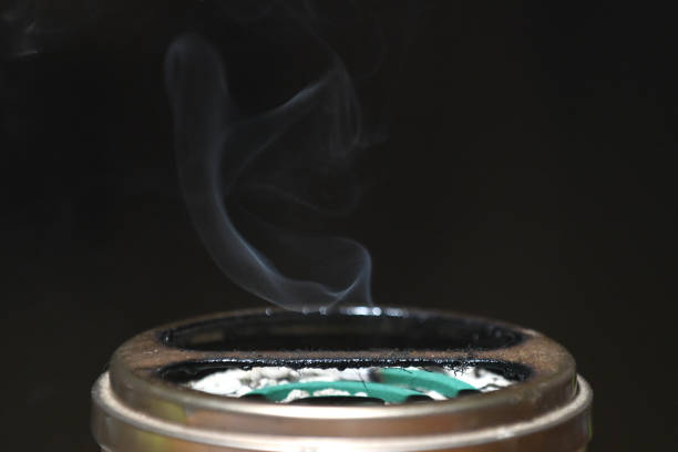 istock Mosquito coil and smoke 2172569032