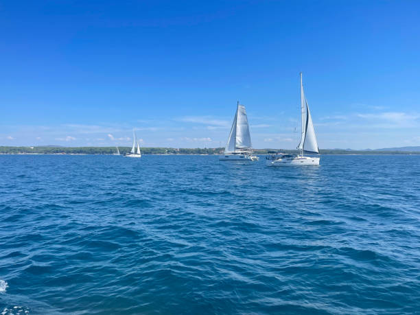 istock sailboat in the sea 2172571159
