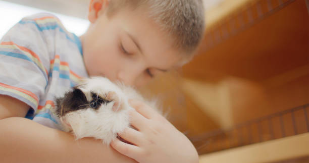 istock Boy Hugging His Pet Guinea Pig 2172572495