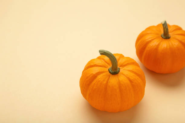 istock Mini orange pumpkins on beige background. Space for text 2172573366