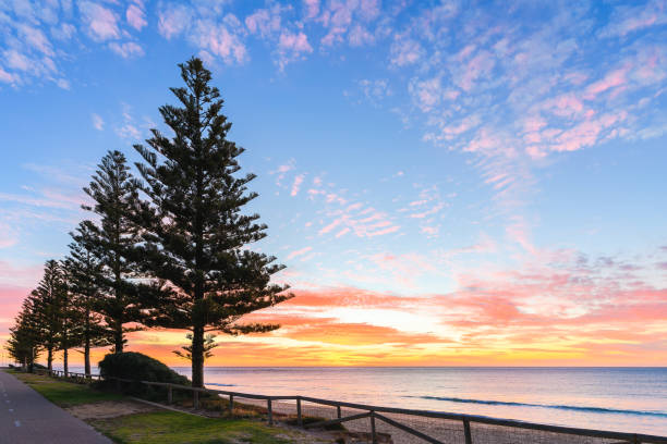 istock Christies beach with pine trees viewed from the Esplanade at sunset 2172575654
