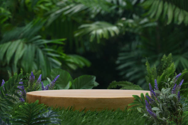 istock Minimal podium table top outdoors blur green leaf tropical forest plant background.beauty cosmetic healthy natural product placement pedestal display,jungle paradise concept. 2172587968