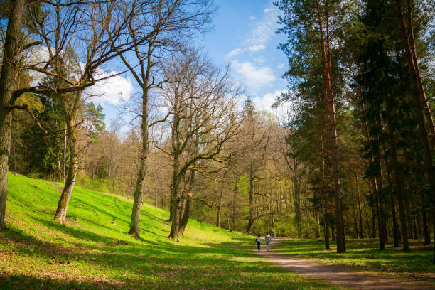 beautiful footpath in the Puckoriu Park in Vilnius in spring, Lithuania