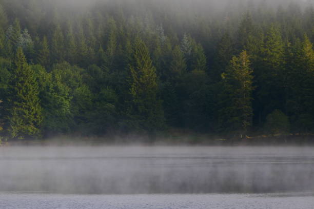 istock Landscape, Lake Guery, Puy de Dome 2172590671