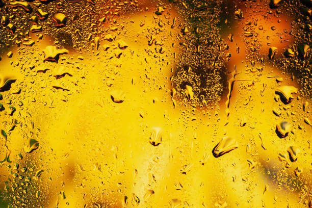 Raindrops on the window. Water drops on glass. Abstract floral background. Texture of drops. Soft focus