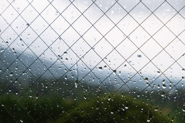 Raindrops on a window, precipitating from a drizzle outside, create a serene ambiance associated with the rainy season