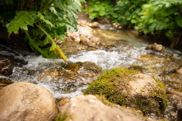 A running stream in slow motion