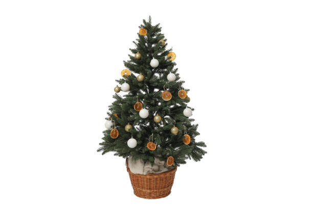 istock PNG,Decorated Christmas tree, isolated on white background 2172604176